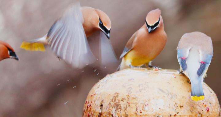 MPI Practitioners Circle