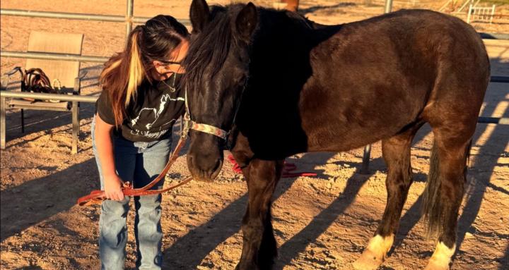 Triple A Equine Skool Account