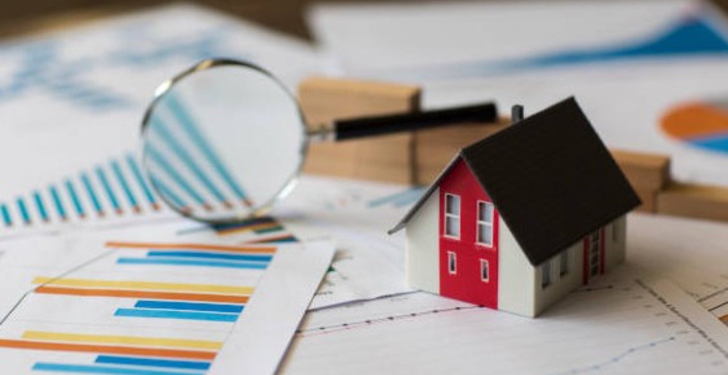 Organic Video & Audio With a Phone