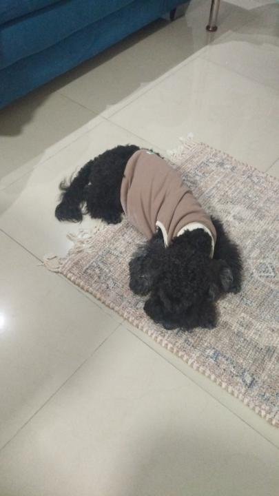 Alberto Carlos Herrera Woolrich