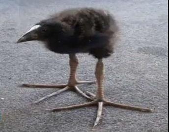 First Name Last Name