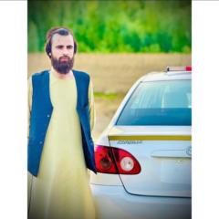 Omar Gulab zoi