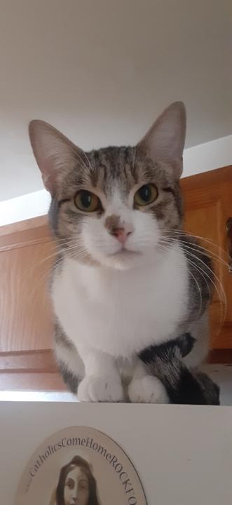 Yazmin Rodriguez Ramos