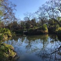 Christos Karagiannis