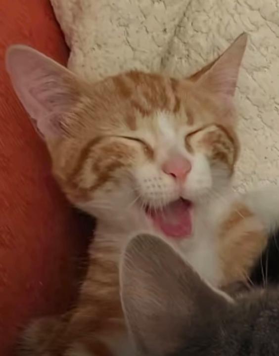 Sarai González Gutiérrez