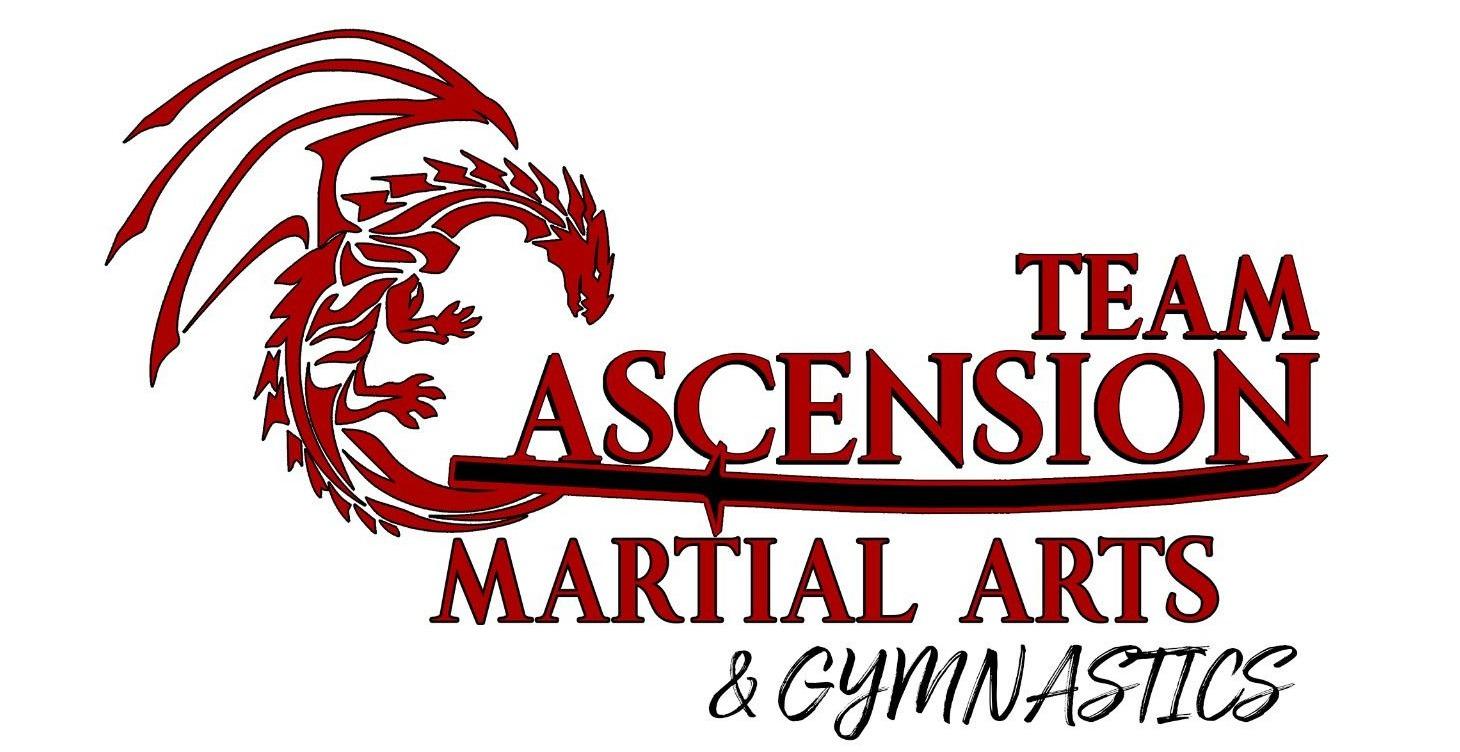Intro to Martial Arts