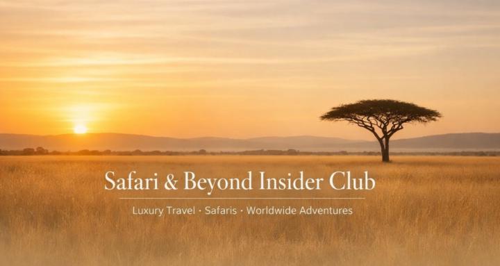 Safari & Beyond Insider Club