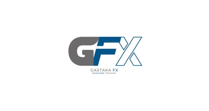 GFX PROGRAM