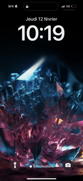 SUCCÈS VS ÉCHEC, OU LA DISTORSION NEURONALE DES CHAMPS DE PERCEPTION