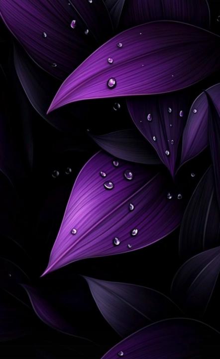 Gabriela Kopáčová