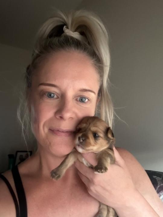 Brooke Carter