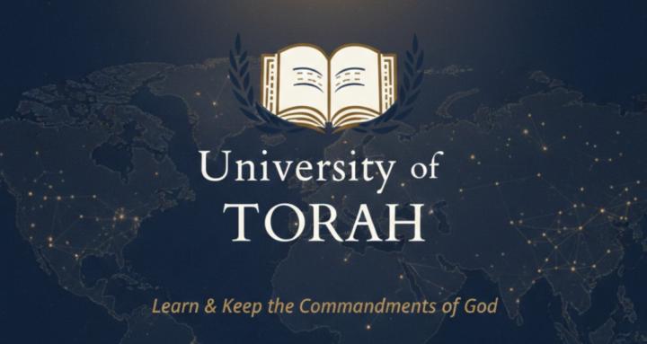 University of Torah