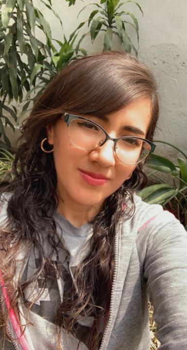 Maria del carmen Ramirez perez