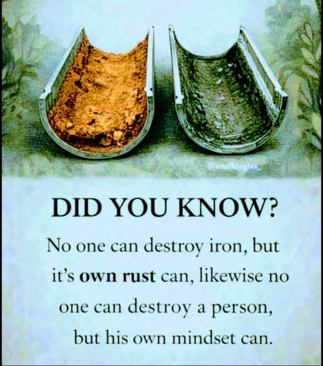 Thought for the day 💭