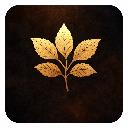 Logo Pure Herbal Wisdom Academy