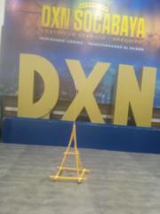 Ronaldo Sullo Vizarreta