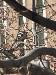 Angel Rodríguez Bautista