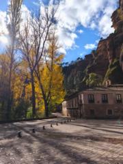 Patricia Hurtado Ruiz