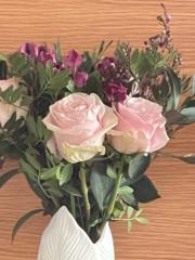 María angeles Garrido solano