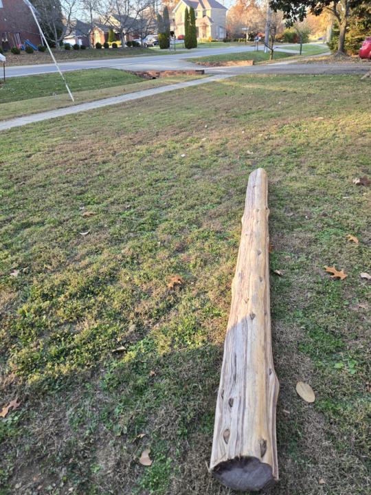 Misogi log flipping tomorrow!