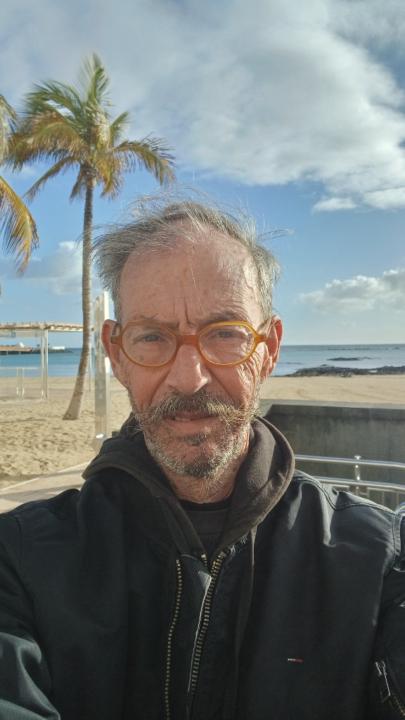 Emilio Pallarés Arrocha