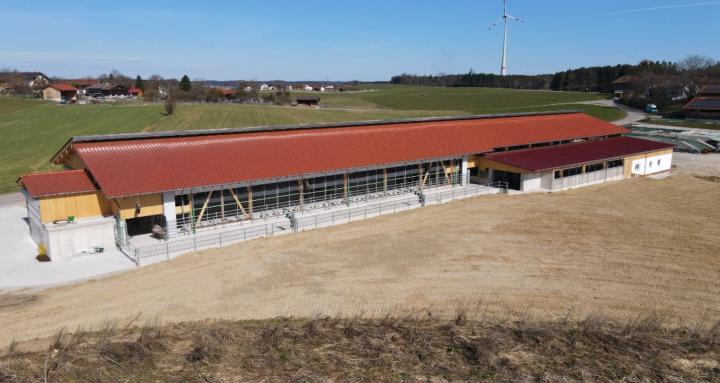 Kuhstallbau Erstplanung