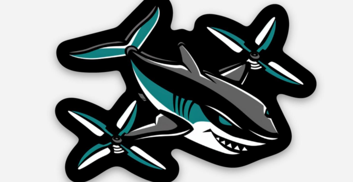 🚀 The 7-Day Pilot Challenge: Launch Plan