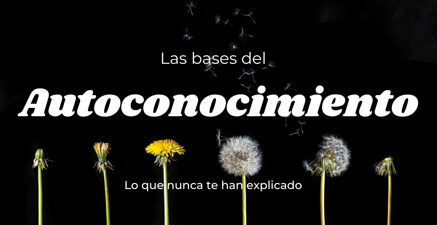 Las bases del Autoconocimiento