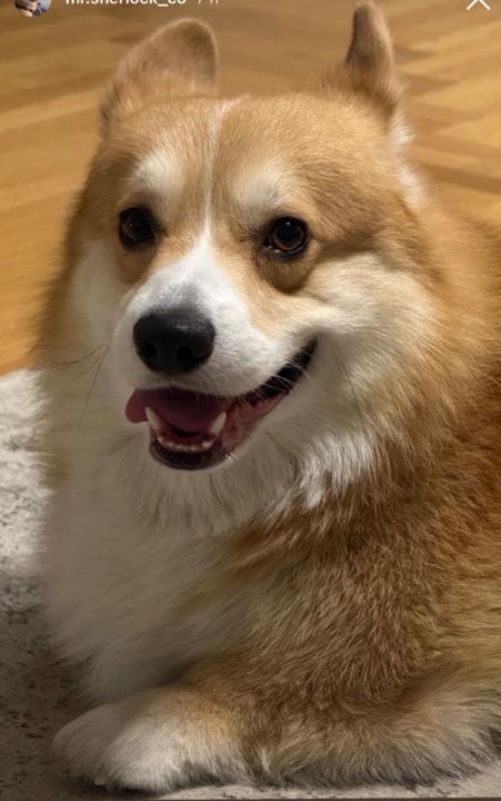 Ricardo Angel Munoz Cervantes