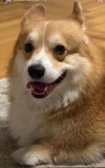 Ricardo Angel Munoz Cervantes