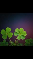 Стаси Валентинова