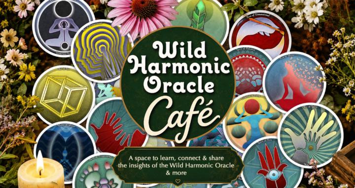 Wild Harmonic Oracle Cafe
