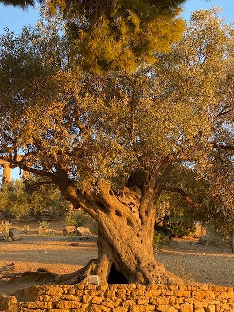 Jean-Baptiste Levrel