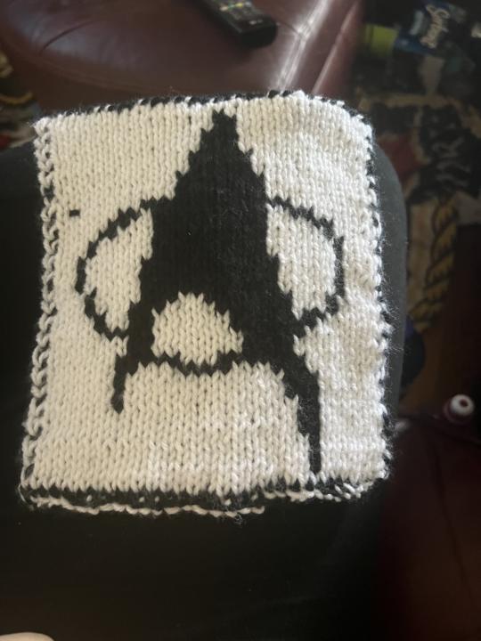 Double knit potholder