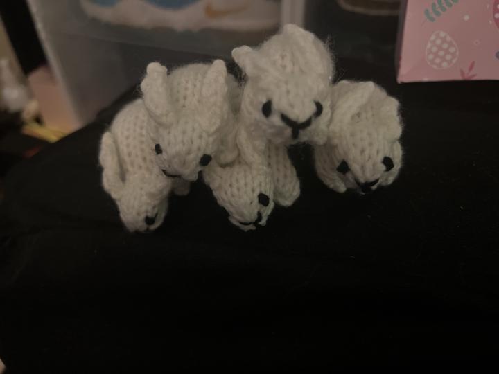 Mini bunnies 