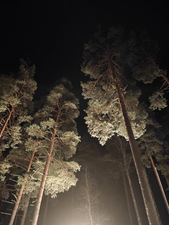 Tanja Karvonen