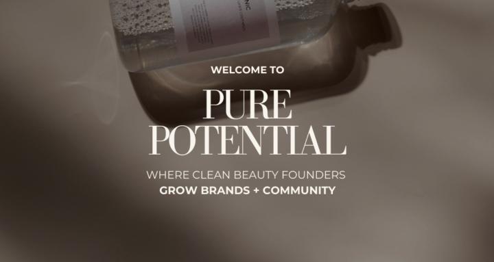Pure Potential Founders Hub