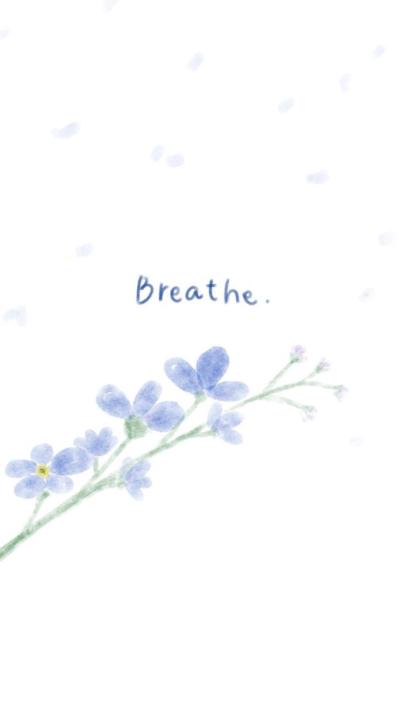 Basmala Naji Osman 梦涵