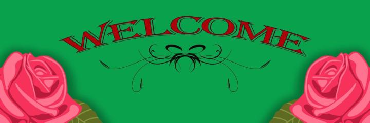 🌟 Willkommen bei SKOOL AUSTRIA liebe Sa-Sua Supannee! 🚀