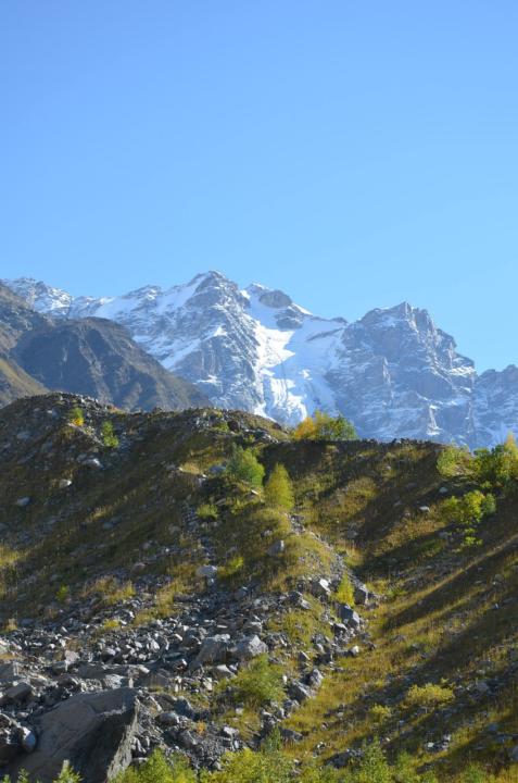 Wieviele Punkte fehlen noch bis zum nächsten Level?