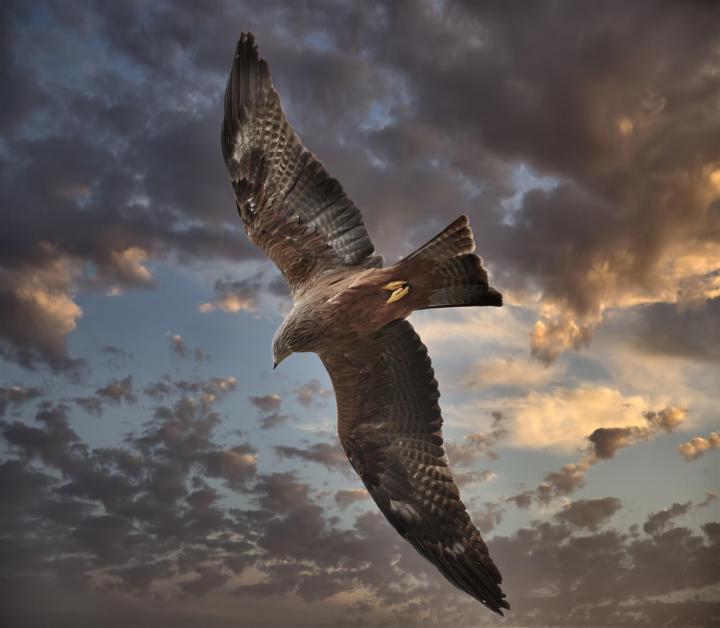 👨‍👨‍👧‍👦 23 Co-Creation: Opferitis Humana vs. Selbstwirksamkeit 👨‍👨‍👧‍👦