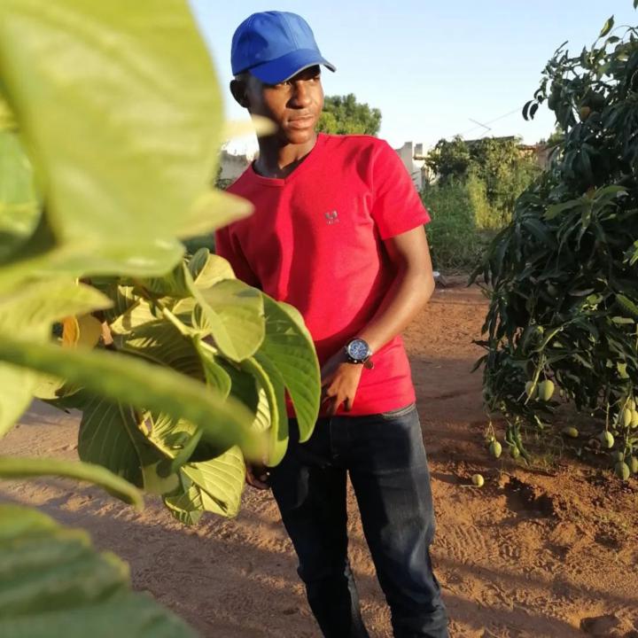 Thato Motebele