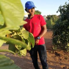 Thato Motebele