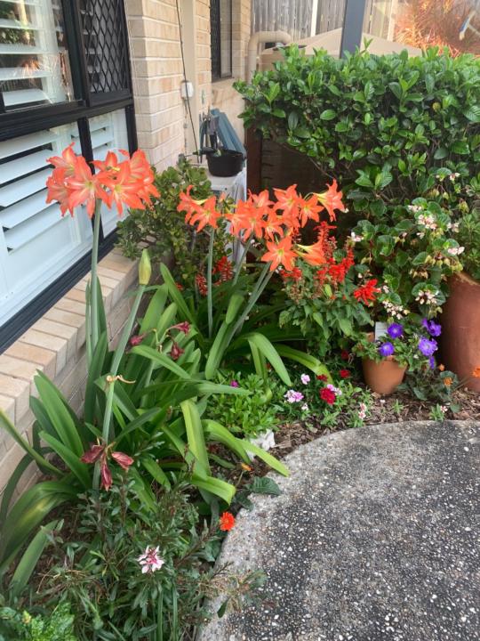 Tony and Sheryl Scriven