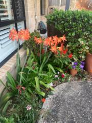 Tony and Sheryl Scriven