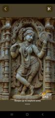 Chinavi D