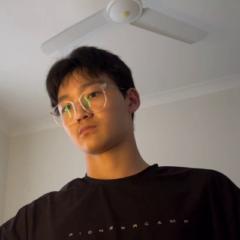 Hank Han