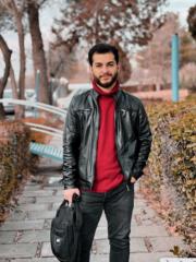 Sahand Safin