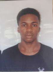 Alex Omowonuola Adedeji