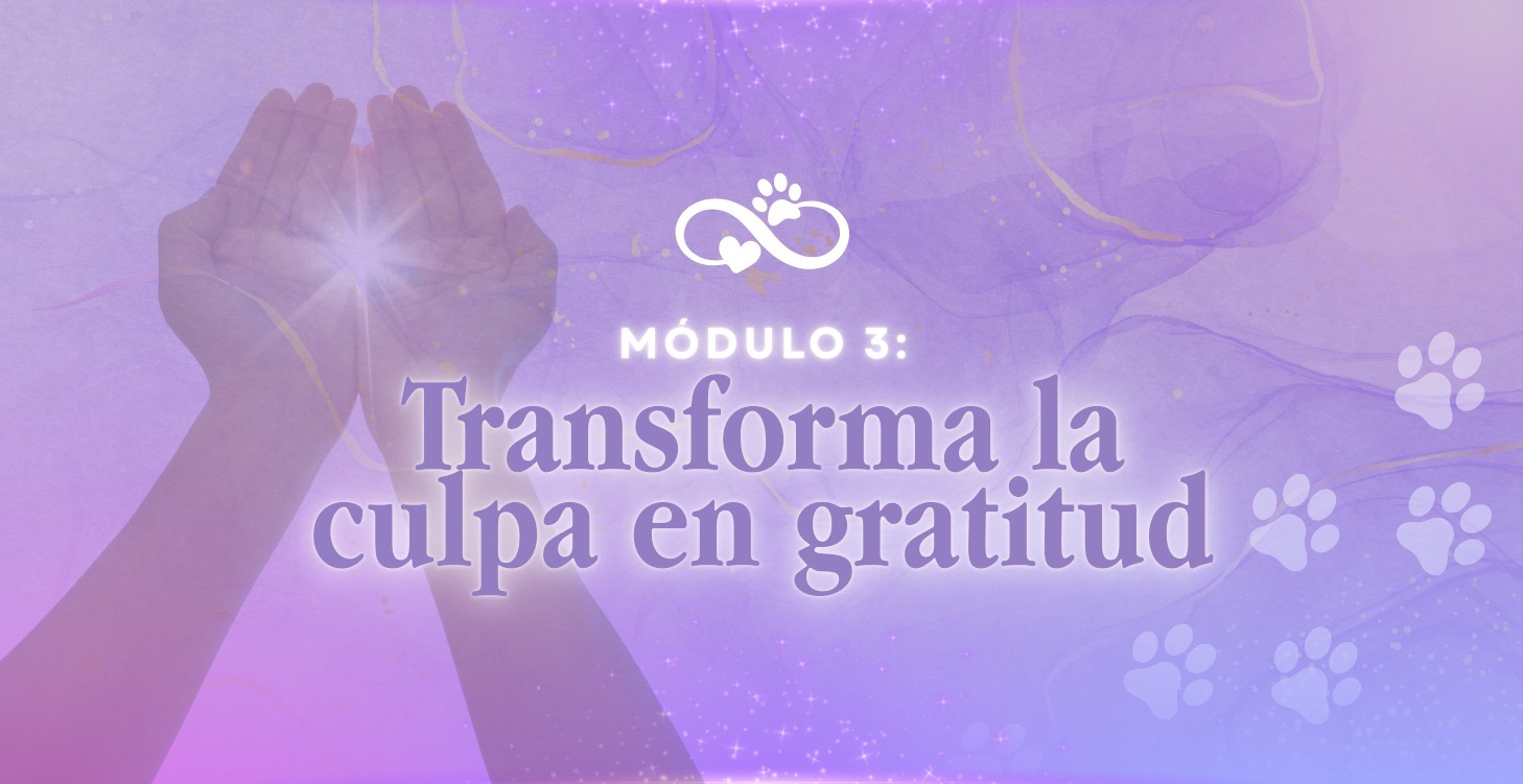 Transforma la culpa en gratitud